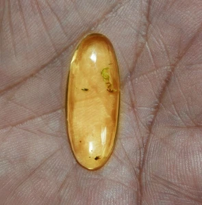 7.50 Cts. Natural Genuine Old Baltic Amber Untreated Certified Gemstone - Foto 1 di 4