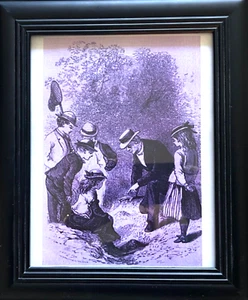 KÄFER SAMMLER gerahmter Vintage Insekt Schmetterling Kunstdruck 13x11" SCHREIBTISCH/REGALSTÄNDER - Bild 1 von 5