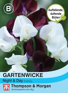 Gartenwicke 'Night & Day' - Lathyrus odorata, Duftwicke, Wicke Wicken Samen 5433 - Bild 1 von 2