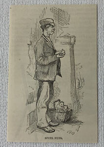 1878 small magazine engraving ~ Man Selling Japanese Spitz Pups in Nyc