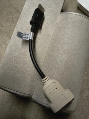 Adaptador BizLink DVI-D doble enlace a DisplayPort macho-macho Foto 1 de 4