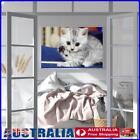 (Df3397) 5D Diy Full Drill Diamond Painting Hello Cat Cross Stitch Embroidery Ki