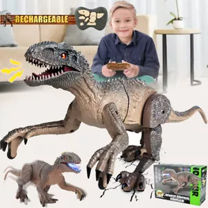 Dinosaurier Spielzeug Ferngesteuertes Kinder RC Velociraptor Dino mit LED Sound - Bild 1 von 12