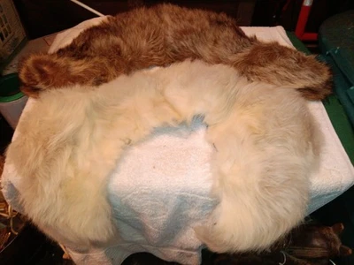 Lot of 2 vintage fur collars, estate find, take a look - image 1 of 4