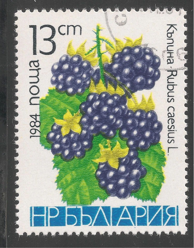 Bulgaria #2967 (A1139) en muy buen estado usado - moras/plantas 13s 1984 Foto 1 de 1