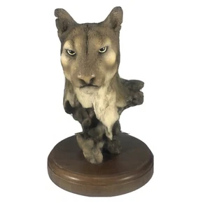 Mill Creek Studios - Proud Repose - Cougar Mountain Lion Retired Piece - Picture 1 of 10