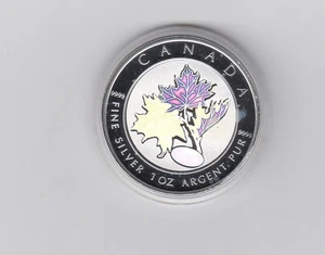 Kanada/Maple Leaf 5 Dollars 1 Unze 2003  Silberbarren PP. Teil goldveredelt - Bild 1 von 2