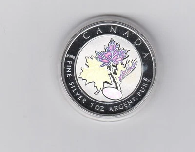Kanada/Maple Leaf 5 Dollars 1 Unze 2003  Silberbarren PP. Teil goldveredelt - Bild 1 von 2