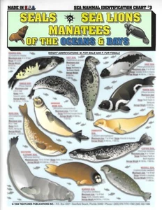 Identificación de mamíferos marinos #3 - Referencia rápida (focas, leones marinos y manatíes) - Imagen 1 de 2