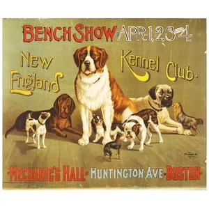 New England Kennel Club Bench Show FRIDGE MAGNET, c. 1890 Dog Mini Gift - Picture 1 of 7