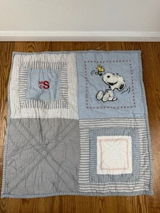 2 Pottery Barn Peanuts Snoopy Quilted Euro Sham 26 x 26 100% Cotton READ - Picture 1 of 6