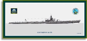 1/350 Iron Shipwright 4304 - USS Tarpon  SS-175: 1943 Resin & 3D Model Kit - Picture 1 of 8