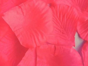 300 Stck. Koralle Seide Blütenblätter/Pfirsich Stoff Blütenblätter/Hochzeit Blütenblätter/Vasen Füller  - Bild 1 von 2