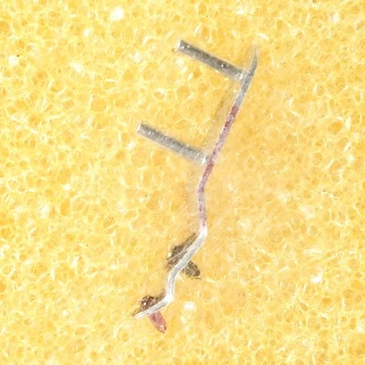 NOS Astatic N581-sd Diamond Needle Rex Fenton Perpetuum Ebner PE-8-DJ - Image 1 of 3