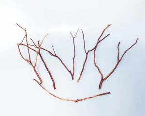 Manzanita Holzzweig für Frösche, Vögel, Reptilien, Aquarium Deko, 6er Set - Bild 1 von 3