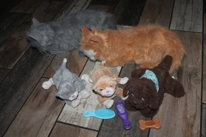 Hasbro 2002 FurReal Friends 5 Stück Katze Hund Plüschtier Stofftier getestet funktioniert - Bild 1 von 8