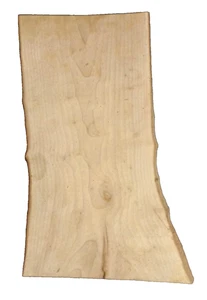 XL LASTRA DI AGRIFOGLIO TORNITURA ARTIGIANALE LAVORAZIONE LEGNO CIRCA 30,5x19x1,5 IN - Foto 1 di 2