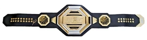 ALEXANDER VOLKANOVSKI HAND SIGNED UFC BELT - Picture 1 of 2