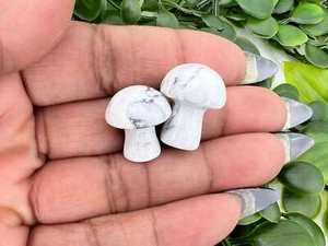 Howlite Mini Crystal Mushroom - Fairy Crystal Mushroom - 20MM Howlite Mushroom - Foto 1 di 5