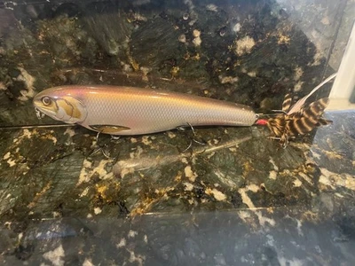 Cebos de baño Phoney Frogs Top agua arco iris trucha 8 pulgadas PhoneyFrogs EE. UU. Foto 1 de 4