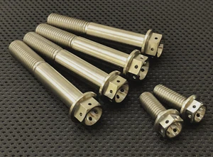 Aprilia RSV1000 Titanium drilled brake caliper bolts full Set 04-08 Ti race spec - Picture 1 of 6