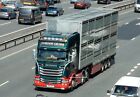 Assorted Livestock Hauliers X 933  Lorry Photo's On Disc