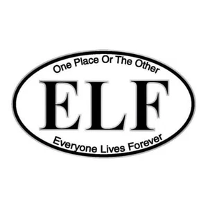 Everyone Lives Forever Bumper Sticker Bulk Pack Of 24 - Picture 1 of 1