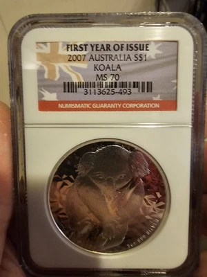 Koala australiano 2007, clasificación NGC Foto 1 de 2