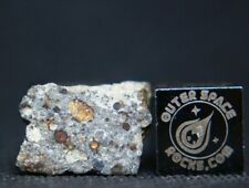 NWA 13741 LL3-5 Primitive Chondrite Meteorite 1 gram p. slice (1 of 8 this type)