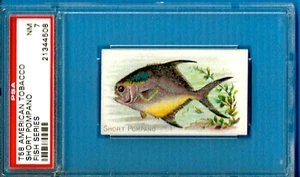 1910 T58 American Tobacco Fish Series - Short Pompano Psa 7 (Pop 1 - 0 Higher) - Picture 1 of 2