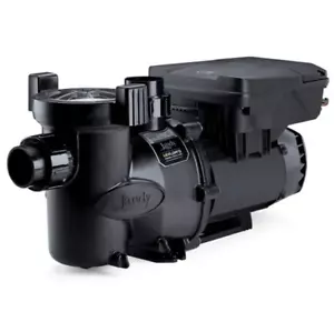 Jandy 2.7 HP VS FloPro 2 Relays - W/O Controller Variable Speed VSFHP270DV2A - Picture 1 of 2
