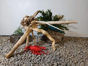 Driftwood aquarium fish 7 reptiles 9x15" natural spiderwood root decor - Picture 1 of 9
