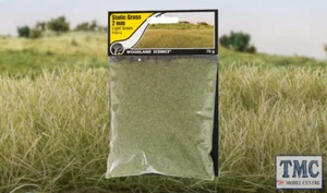 FS615 Woodland Scenics 2mm Static Grass Light Green - Picture 1 of 1