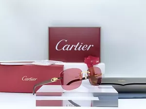 Occhiali Cartier Wood Gold CT0052O 100% Authentic Sunglasses Frames Lunettes - Foto 1 di 10
