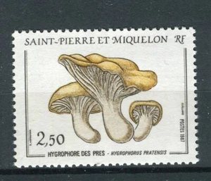 FUNGHI - MUSHROOMS SAINT PIERRE ET MIQUELON 1987 - Picture 1 of 1