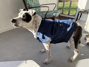 Pooch Plus Denim Dog Jacket Size L NWT So Cute! - Picture 1 of 9