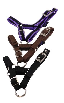 Libby's Banbury Halter Head Collar for Alpaca Llama Sheep xxxs xxs xs s m l