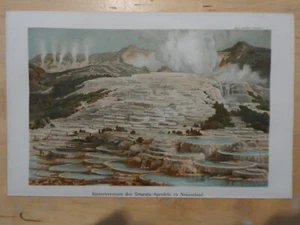 Orig.(1888) Chromolithographie Sinterrassen des Tetarata-Sprudels in Neuseeland - Bild 1 von 1