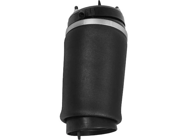 Muelle neumático delantero derecho para Land Rover Range Rover 2003-2012 2008 2006 NR662PW Foto 1 de 1