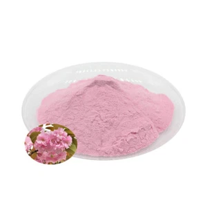 100g~500g Sakura Extract Powder Cherry Blossom Extract Powder - Picture 1 of 1