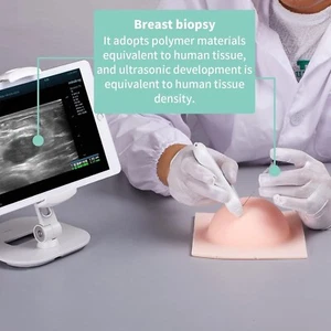 1PC Brust Ultraschall Punktions-Trainingsmodell, Biopsie 4 simulierte Läsion Neu - Bild 1 von 8