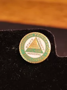 American Federation Employees AFL-C10 Lapel Pin. GREEN DUCK CO Chicago - Picture 1 of 5