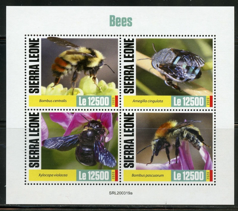 Sierra Leone 2020 Api Foglio come Nuovo Nh - Immagine 1 di 1