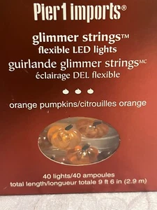 Pier 1 Imports Fall LED Pumpkin Flexible Glimmer String 40 Lights - Picture 1 of 3