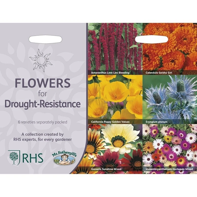 Flower Seeds Drought Resistance Collection Garden Flower Seeds RHS - Image 1 of 1
