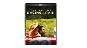 Art Of Racing In The Rain DVD Movie Night Garth Stein Enzo Dog Kevin Costner Eve - Picture 1 of 9