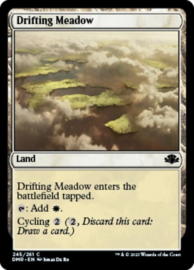 x1 Drifting Meadow - Dominaria Remastered - NM - MTG - Image 1 of 1