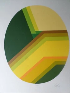 Solado estampado litográfico moderno amarillo verde firmado por Doug Danz - Imagen 1 de 1