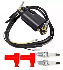IGNITION COIL MODULE FOR SEADOO GTX LTD. 1998 #27800113 - Picture 1 of 7