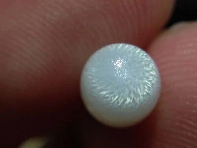 Natural Wild Tridacna White Clam Pearl 2.03ct with AAFlame - Image 1 of 4